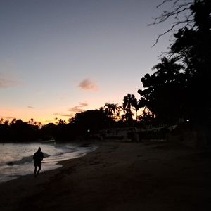 Meet your Posher, Dorothy